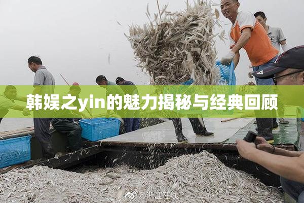 韩娱之yin的魅力揭秘与经典回顾