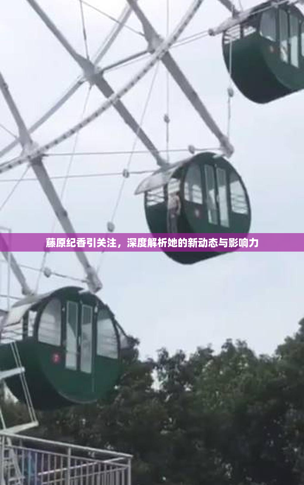藤原纪香引关注，深度解析她的新动态与影响力