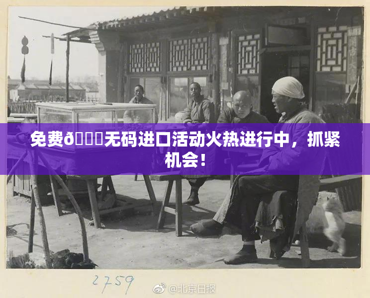 免费🔞无码进口活动火热进行中，抓紧机会！