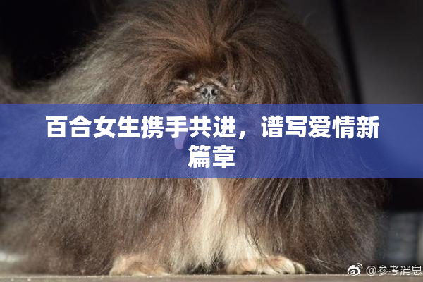 百合女生携手共进，谱写爱情新篇章