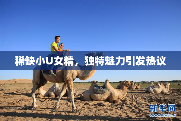稀缺小U女精，独特魅力引发热议