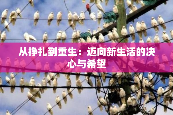 从挣扎到重生：迈向新生活的决心与希望