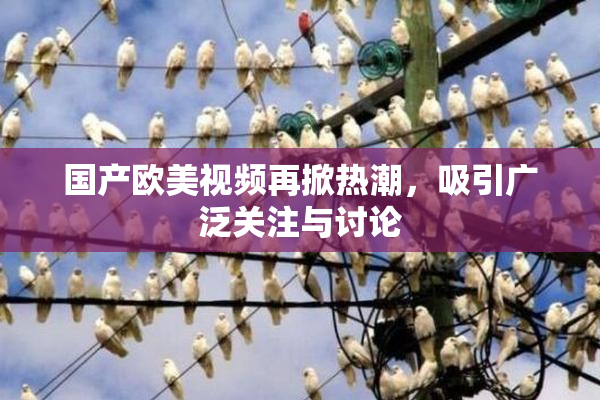 国产欧美视频再掀热潮，吸引广泛关注与讨论