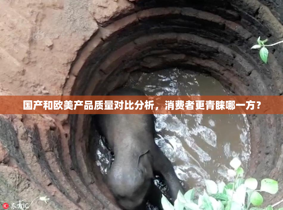 国产和欧美产品质量对比分析，消费者更青睐哪一方？