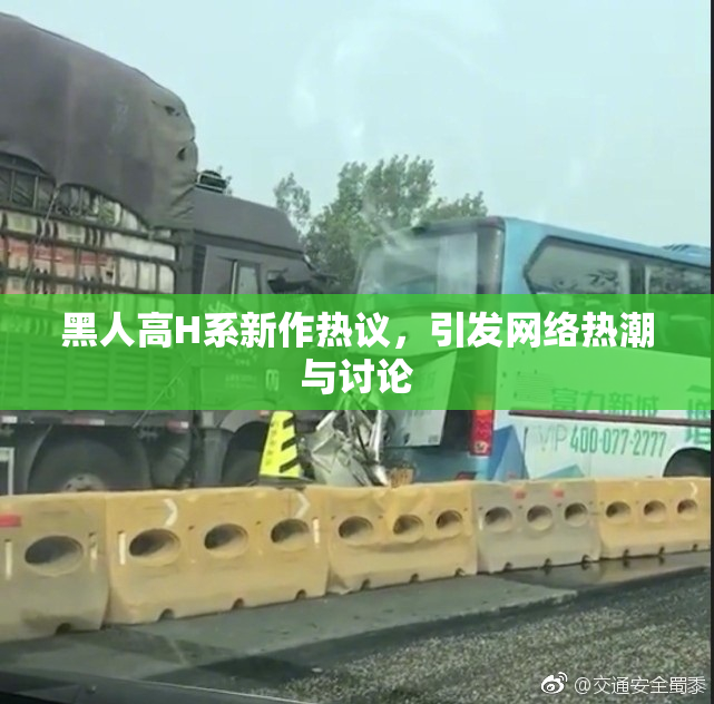 黑人高H系新作热议，引发网络热潮与讨论