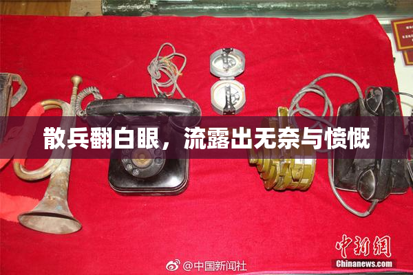散兵翻白眼，流露出无奈与愤慨