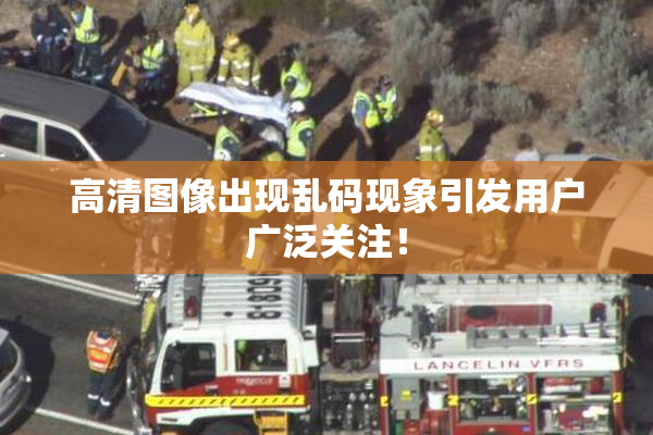 高清图像出现乱码现象引发用户广泛关注！