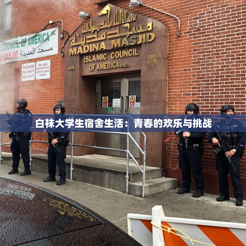 白袜大学生宿舍生活：青春的欢乐与挑战
