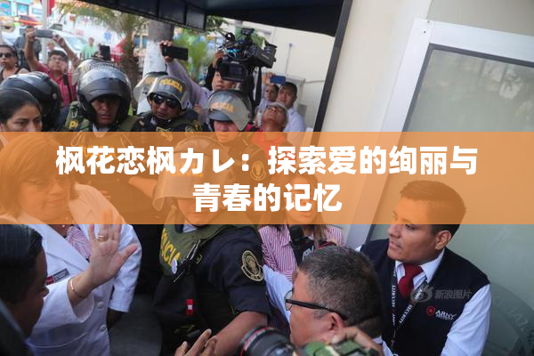 枫花恋枫カレ：探索爱的绚丽与青春的记忆