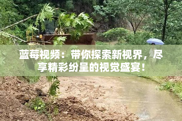 蓝莓视频：带你探索新视界，尽享精彩纷呈的视觉盛宴！