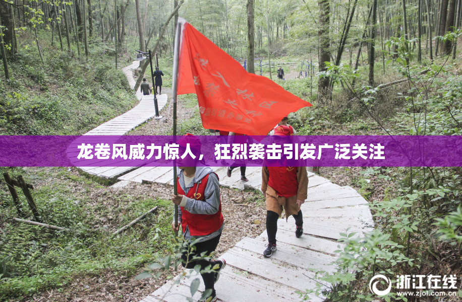 龙卷风威力惊人，狂烈袭击引发广泛关注