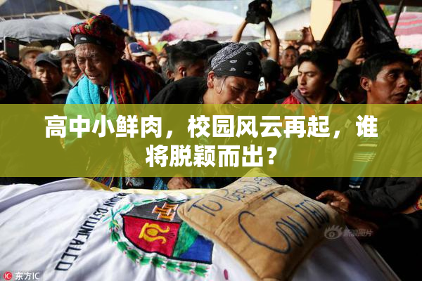高中小鲜肉，校园风云再起，谁将脱颖而出？