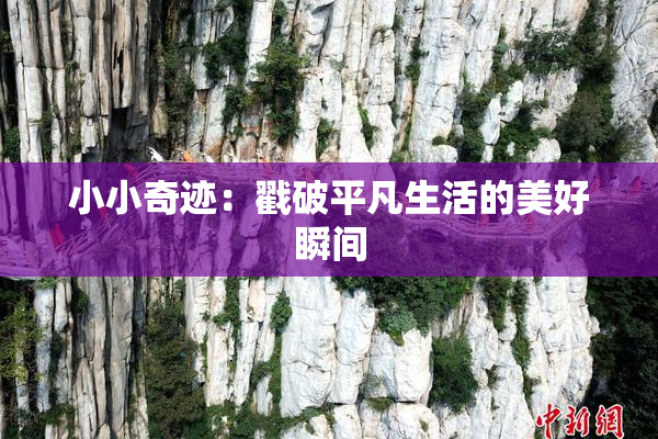 小小奇迹：戳破平凡生活的美好瞬间