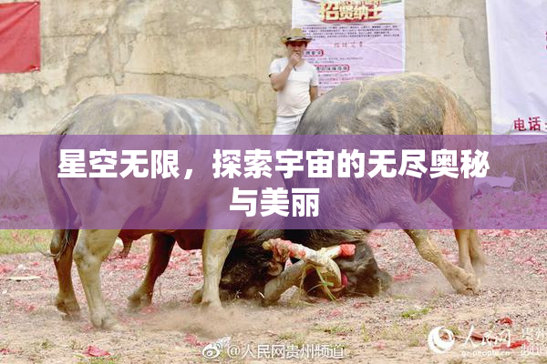 星空无限，探索宇宙的无尽奥秘与美丽