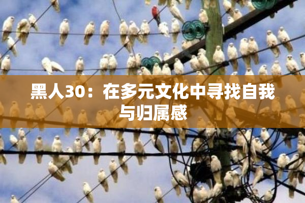 黑人30：在多元文化中寻找自我与归属感