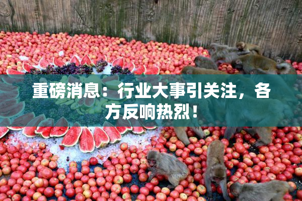 重磅消息：行业大事引关注，各方反响热烈！