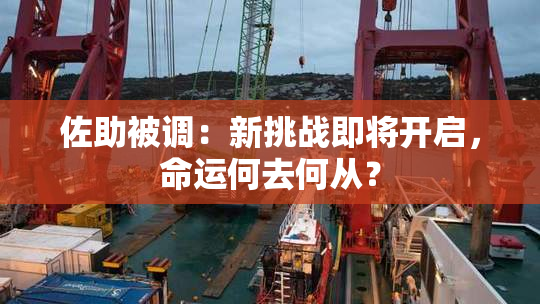 佐助被调：新挑战即将开启，命运何去何从？