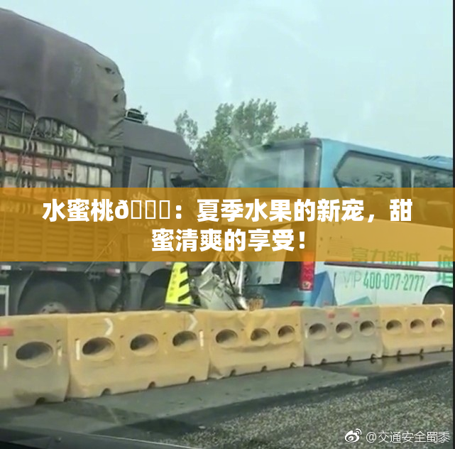 水蜜桃🍑：夏季水果的新宠，甜蜜清爽的享受！