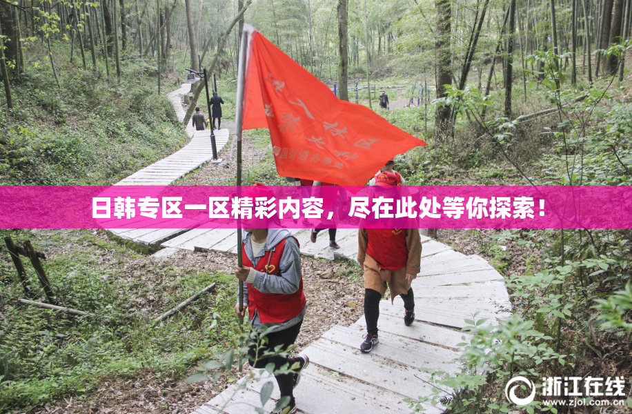 日韩专区一区精彩内容，尽在此处等你探索！