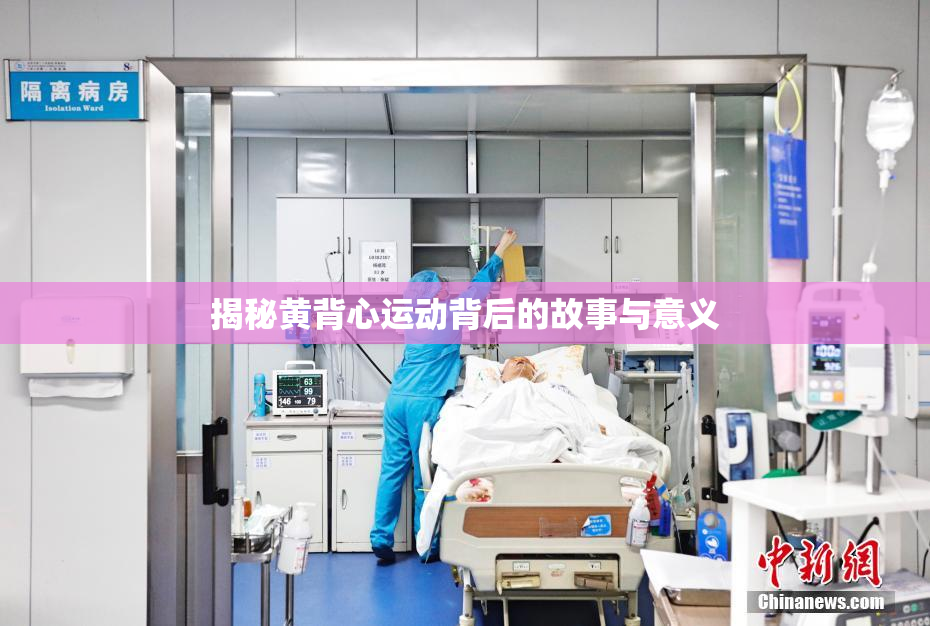 揭秘黄背心运动背后的故事与意义