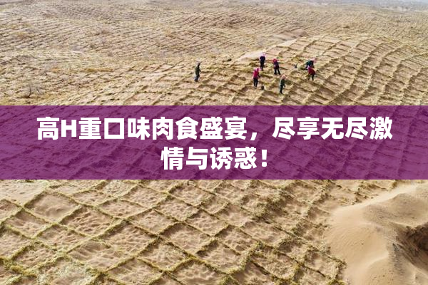 高H重口味肉食盛宴，尽享无尽激情与诱惑！