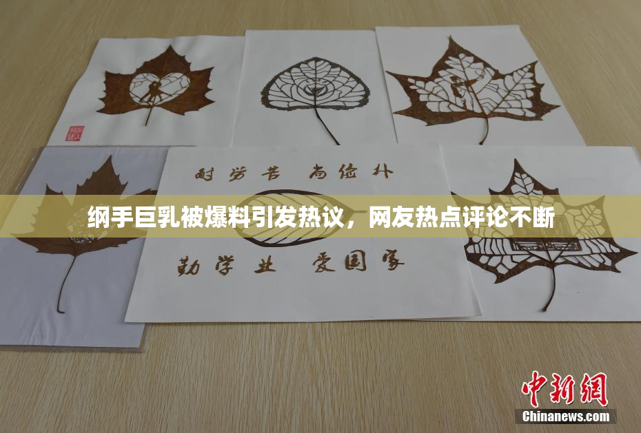 纲手巨乳被爆料引发热议，网友热点评论不断
