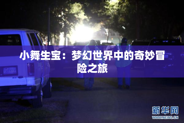 小舞生宝：梦幻世界中的奇妙冒险之旅