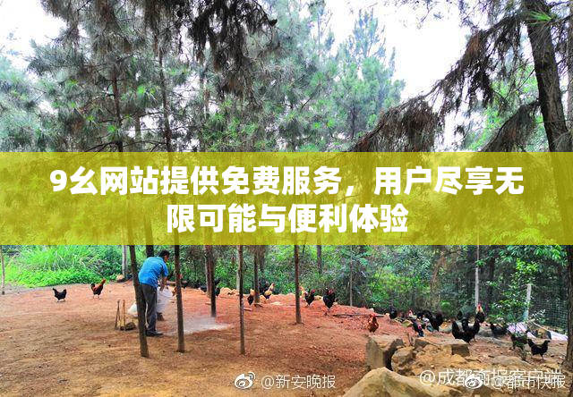 9幺网站提供免费服务，用户尽享无限可能与便利体验