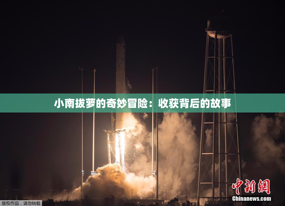 小南拔萝的奇妙冒险：收获背后的故事