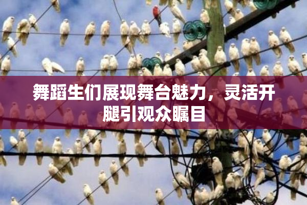 舞蹈生们展现舞台魅力，灵活开腿引观众瞩目