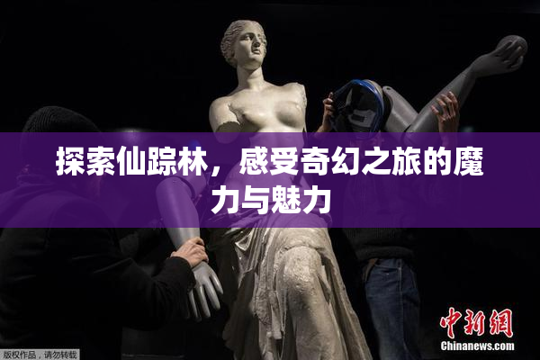 探索仙踪林，感受奇幻之旅的魔力与魅力