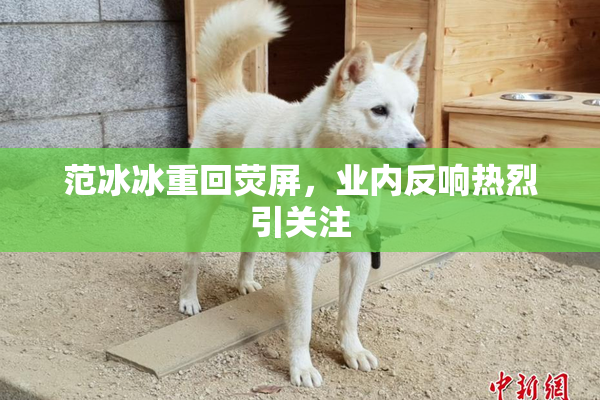 范冰冰重回荧屏，业内反响热烈引关注