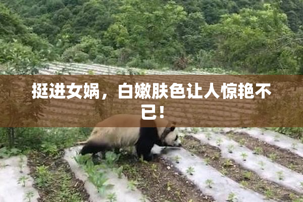 挺进女娲，白嫩肤色让人惊艳不已！