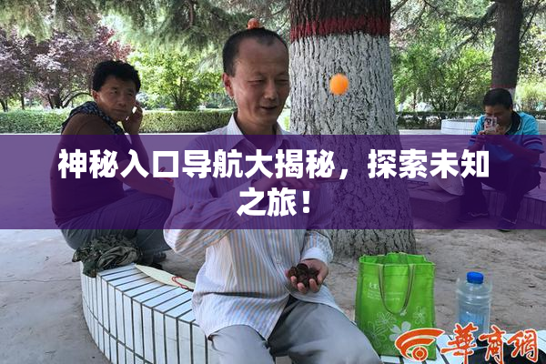 神秘入口导航大揭秘，探索未知之旅！