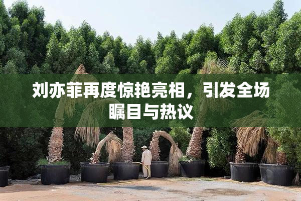 刘亦菲再度惊艳亮相，引发全场瞩目与热议