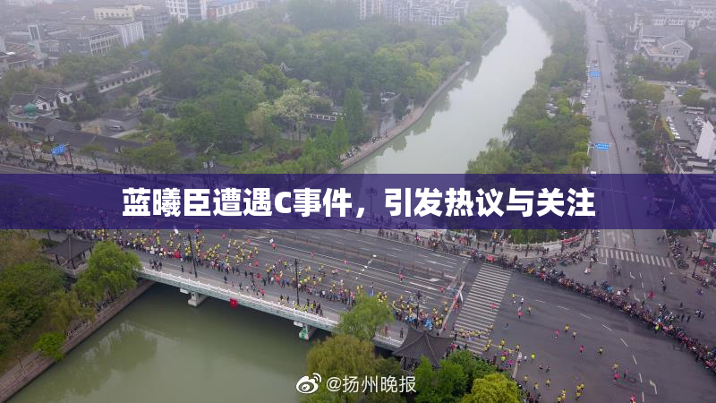 蓝曦臣遭遇C事件，引发热议与关注