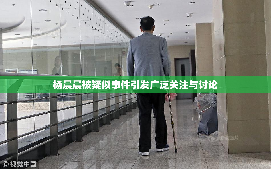 杨晨晨被疑似事件引发广泛关注与讨论