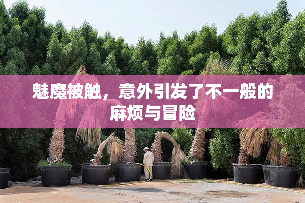 魅魔被触，意外引发了不一般的麻烦与冒险