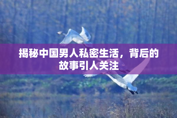 揭秘中国男人私密生活，背后的故事引人关注