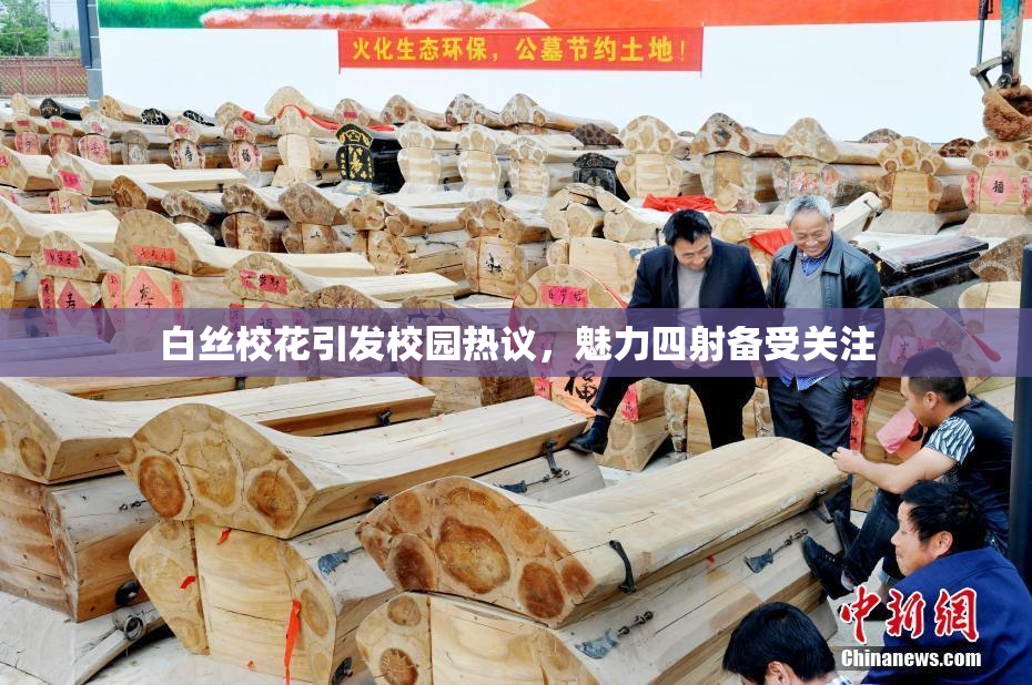 白丝校花引发校园热议，魅力四射备受关注