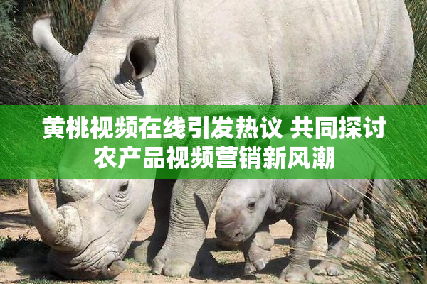 黄桃视频在线引发热议 共同探讨农产品视频营销新风潮