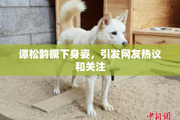 谭松韵撅下身姿，引发网友热议和关注