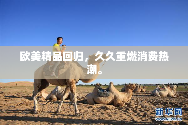 欧美精品回归，久久重燃消费热潮。