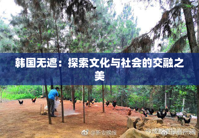 韩国无遮：探索文化与社会的交融之美