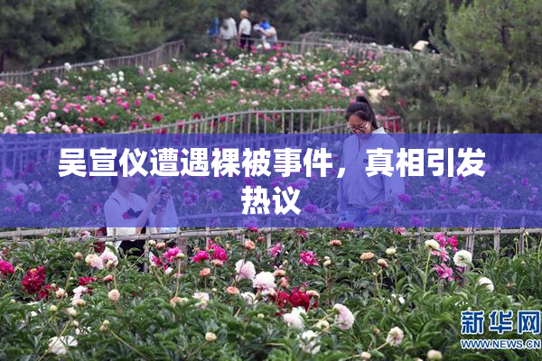 吴宣仪遭遇裸被事件，真相引发热议