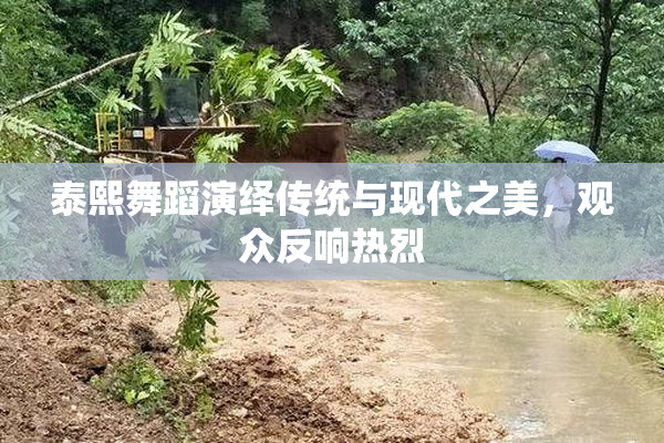泰熙舞蹈演绎传统与现代之美，观众反响热烈