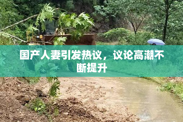国产人妻引发热议，议论高潮不断提升