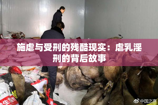 施虐与受刑的残酷现实：虐乳淫刑的背后故事