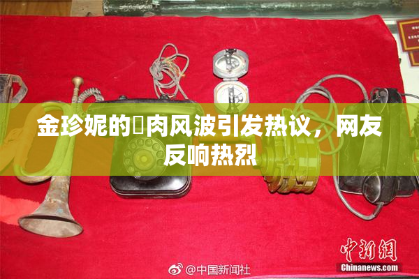 金珍妮的婬肉风波引发热议，网友反响热烈