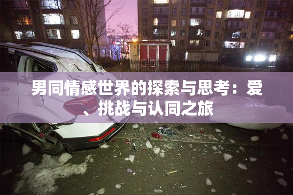男同情感世界的探索与思考：爱、挑战与认同之旅